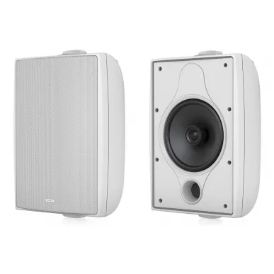 Настенная акустика Tannoy DVS 6-WH